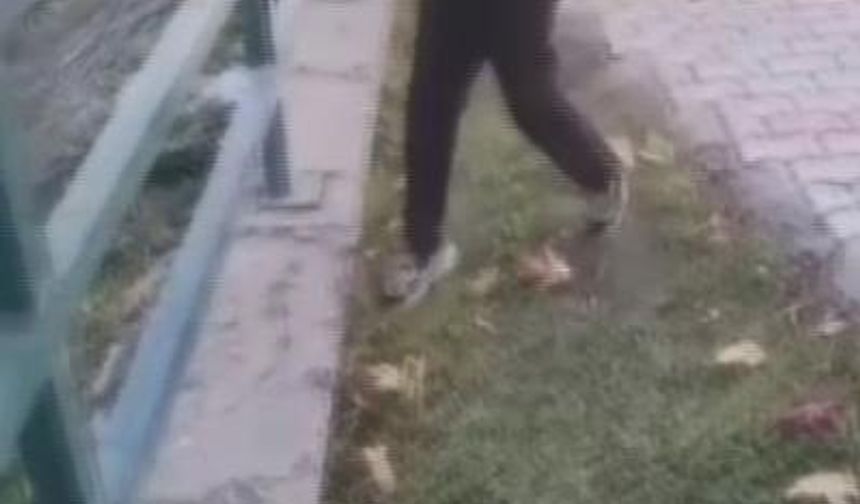 TikTok’ta yayınlamıştı, akıbeti belli oldu