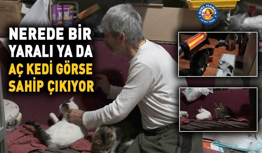 Nerede bir yaralı ya da aç kedi görse sahip çıkıyor