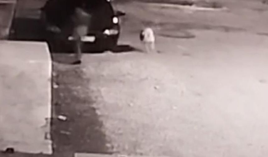 Bir köpek saldırısı daha
