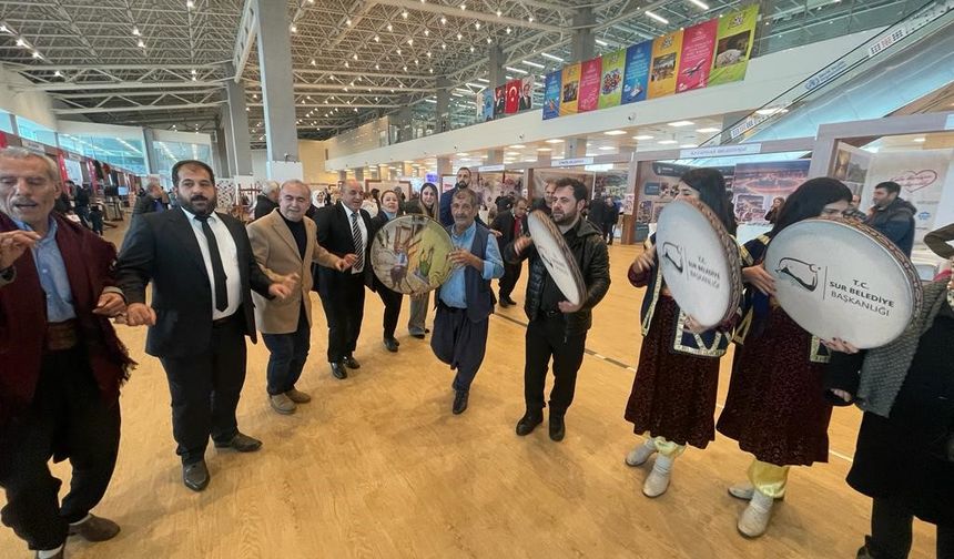 Sur'a İstanbul ilgisi