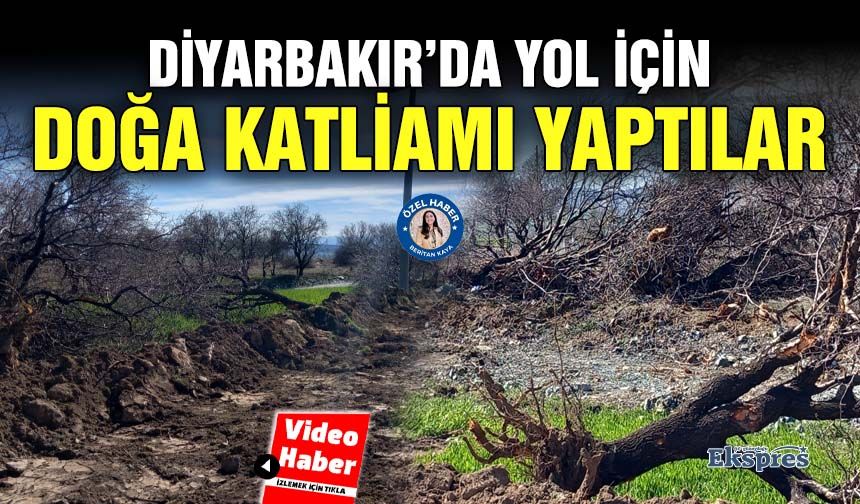 Diyarbakır’da yol için doğa katliamı yaptılar