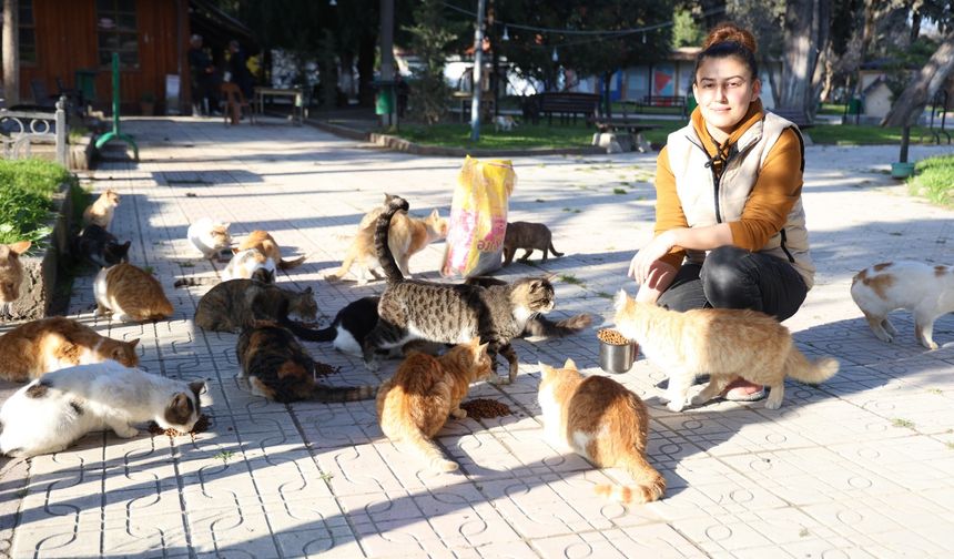 Gürcistanlı gelini Sabina, sokak hayvanlarına umut oldu