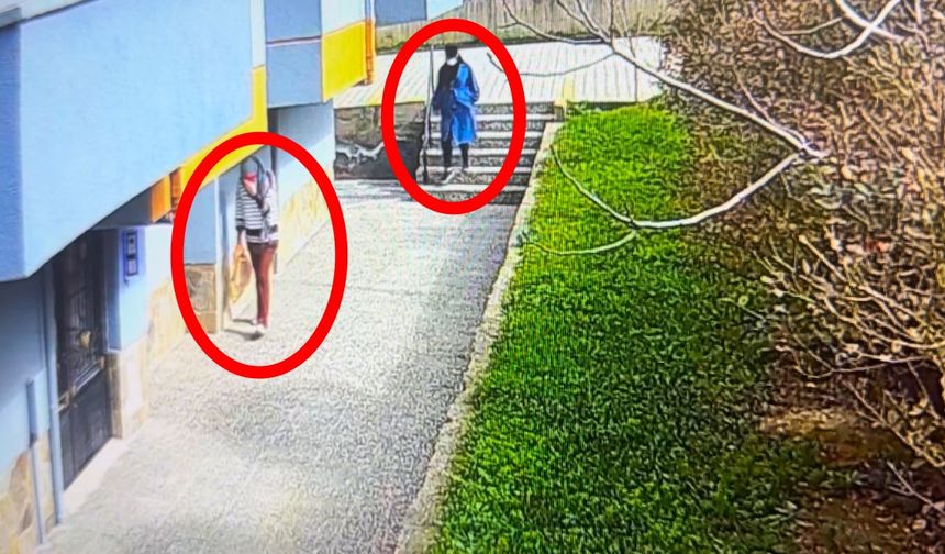 Ev hırsızları kameraya yakalandı