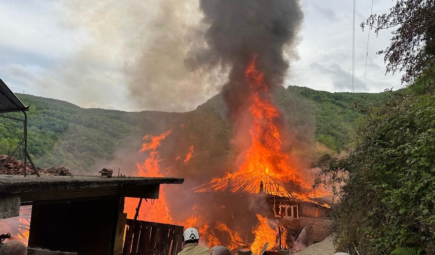 Korkutan yangın; İki ev kül oldu