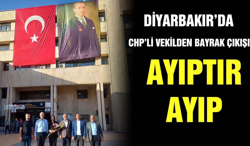 Diyarbakır’da CHP’li vekilden bayrak çıkışı: AYIPTIR, AYIP