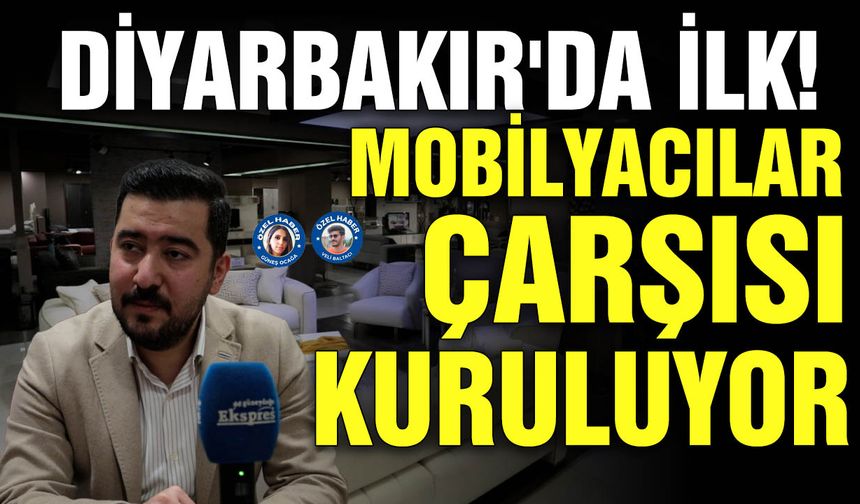 Diyarbakır'da ilk! Mobilyacılar Çarşısı kuruluyor