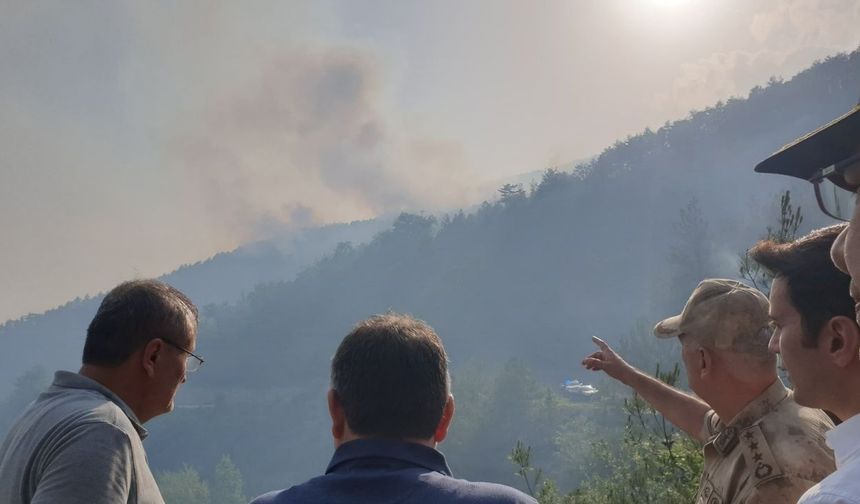 Sinop'ta orman yangını! Havadan ve karadan müdahale devam ediyor