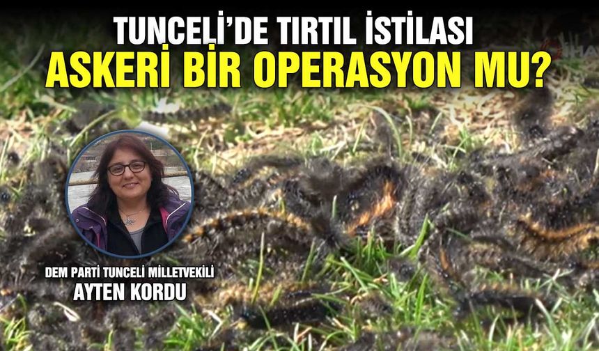 Tunceli’de tırtıl istilası askeri bir operasyon mu?