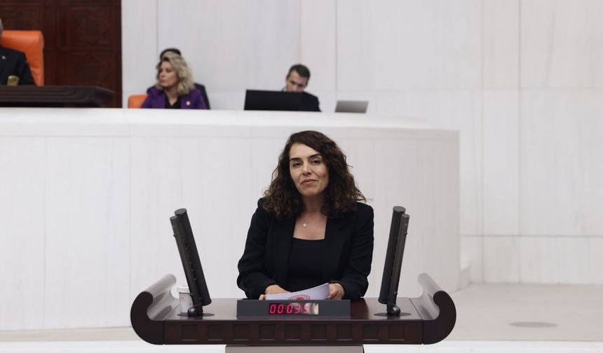 Diyarbakır’da uygulanan 'kürtaj yasağı' Meclis’e taşındı
