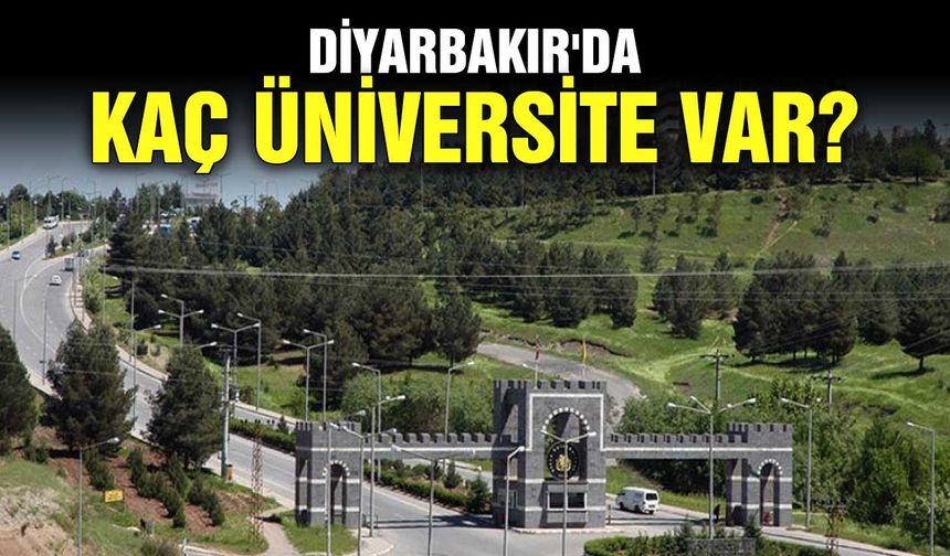 Diyarbakır'da kaç üniversite var?