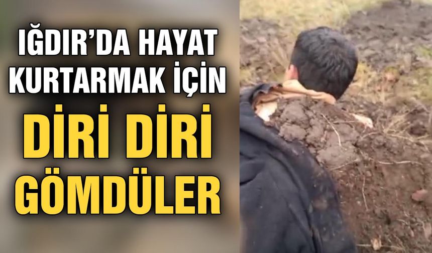 Iğdır’da hayat kurtarmak için diri diri gömdüler