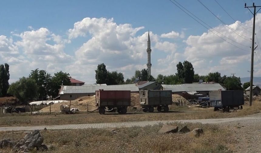 Şarbon hastalığı görüldü, köy karantinaya alındı