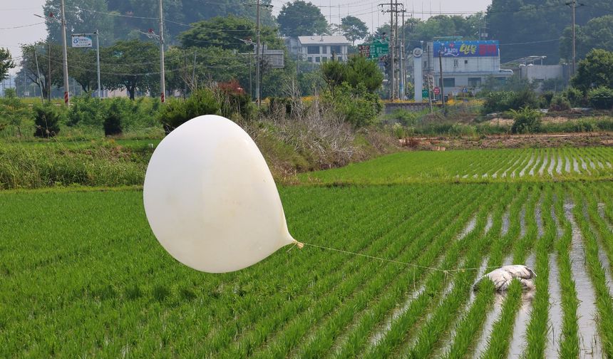 Güney Kore’den balonlu misilleme
