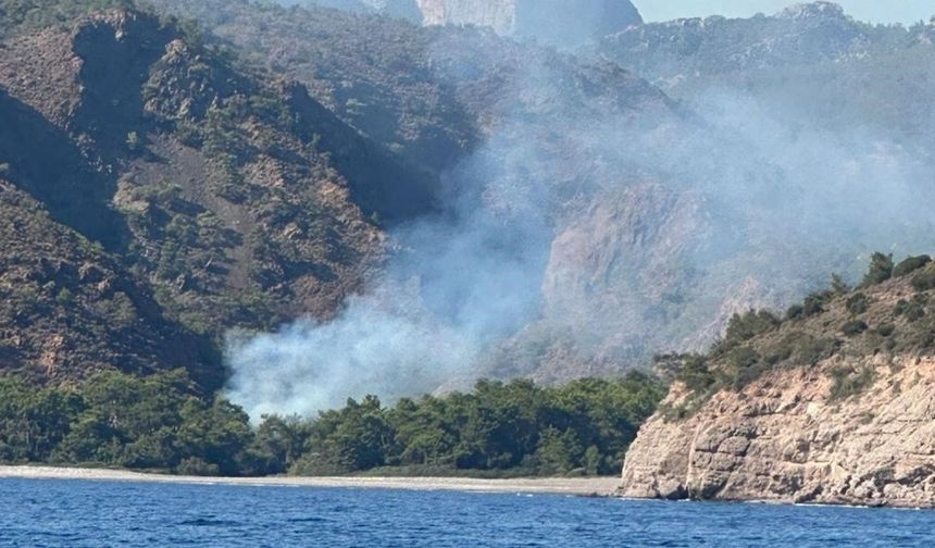 Muğla Datça’da da yeni orman yangını çıktı