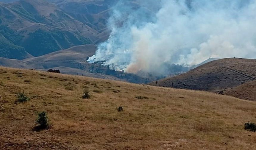 Dersim’de orman yangını