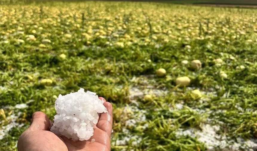 Ekili tarım arazilerini dolu vurdu