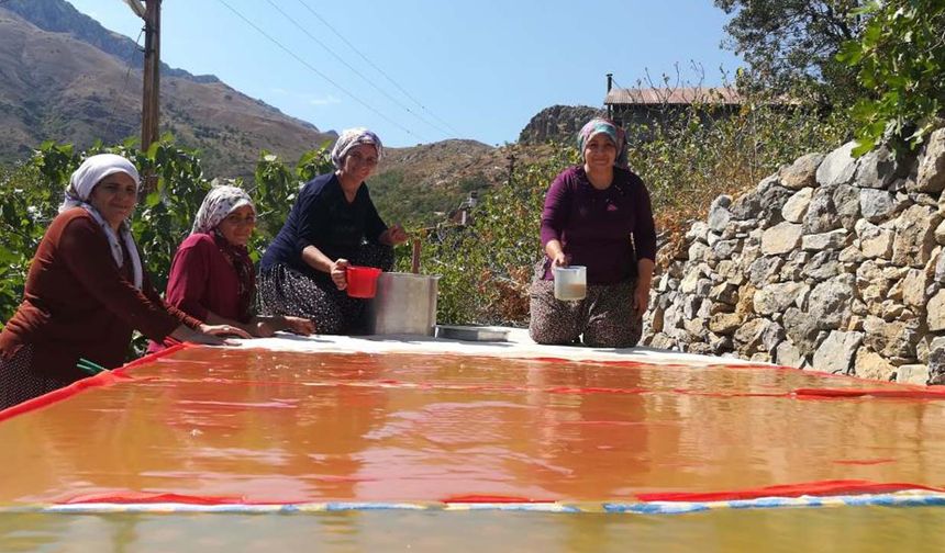 Erzincan’da kadınların pestil mesaisi