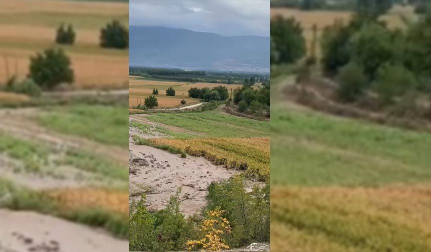 Su kanalı patladı, tarım arazileri su altında kaldı