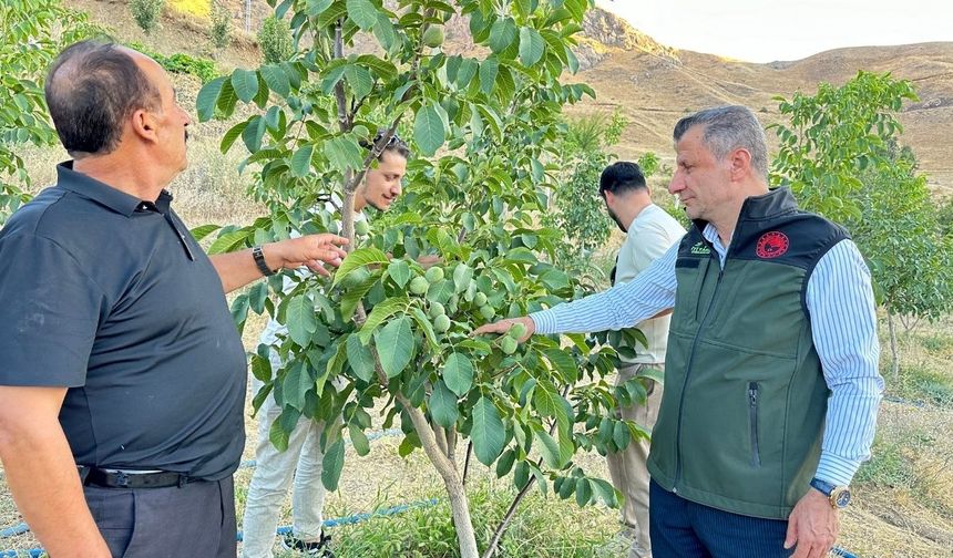 Hakkari Yüksekova’da yeni dönem