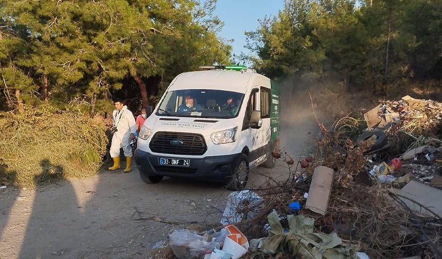 Mersin'de vahşet!