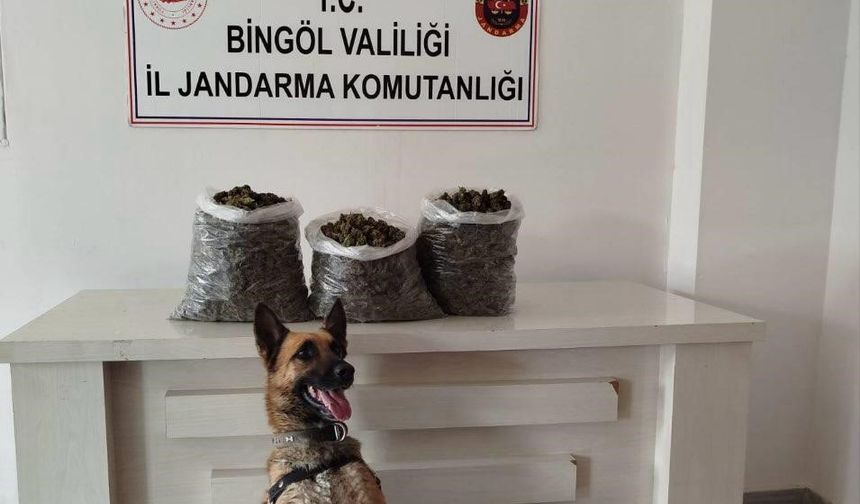 Bingöl'de uyuşturucu operasyonu