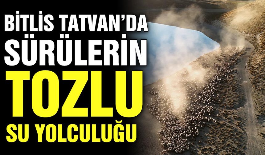 Bitlis Tatvan’da sürülerin tozlu su yolculuğu