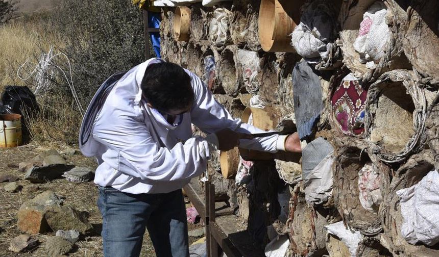 Dünyanın dört gözle beklediği Bitlis balı tezgaha iniyor