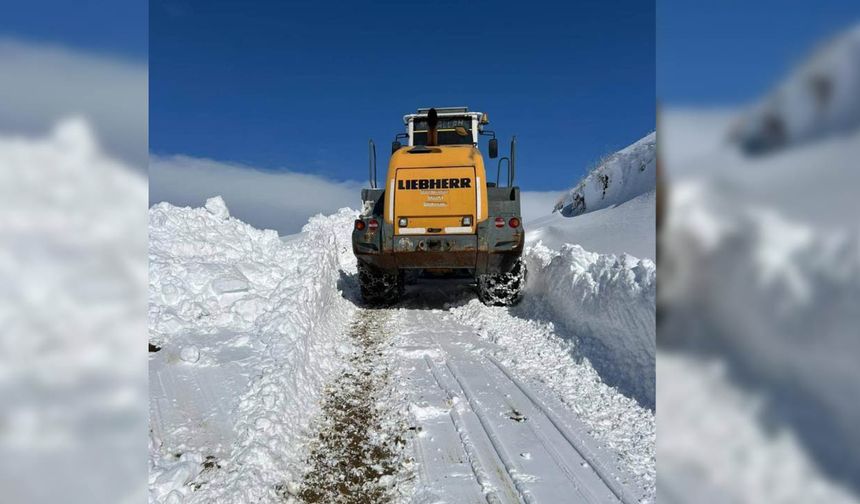 Hakkari'de kar kalınlığı bir metreye ulaştı