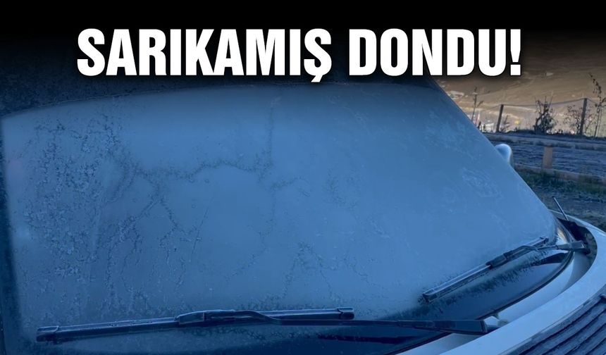 Sarıkamış dondu!