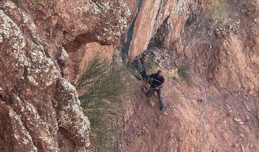 Siirt Şirvan’da çoban 6 koyunuyla uçurumda mahsur kaldı