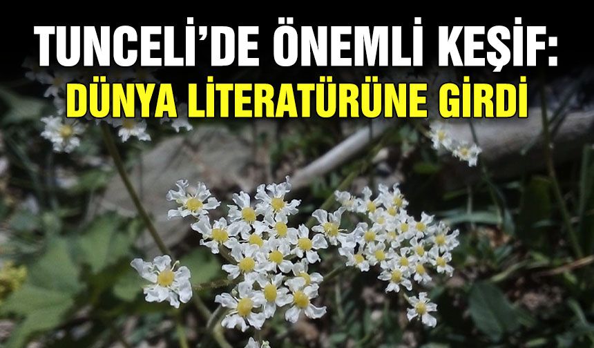 Tunceli’de önemli keşif: Dünya literatürüne girdi