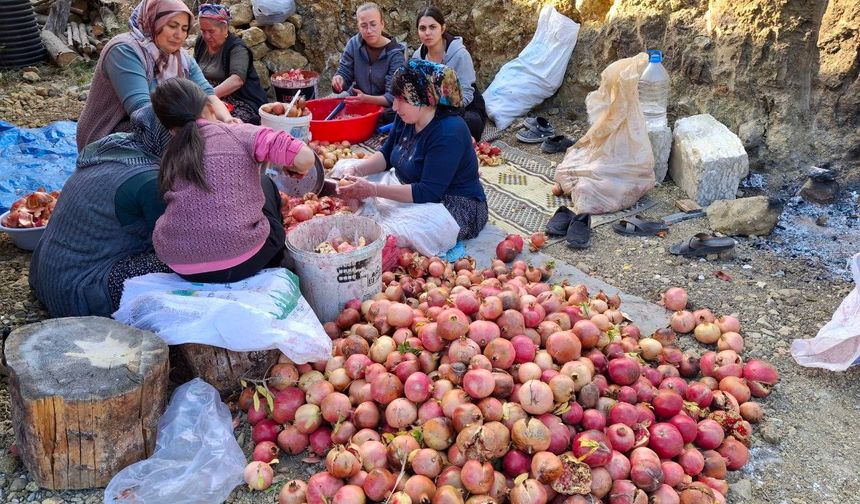 Nar ekşisinde mesai başladı