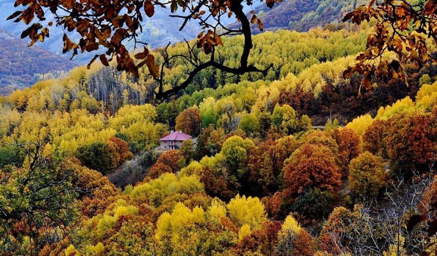 Dersim’de sonbahar şöleni