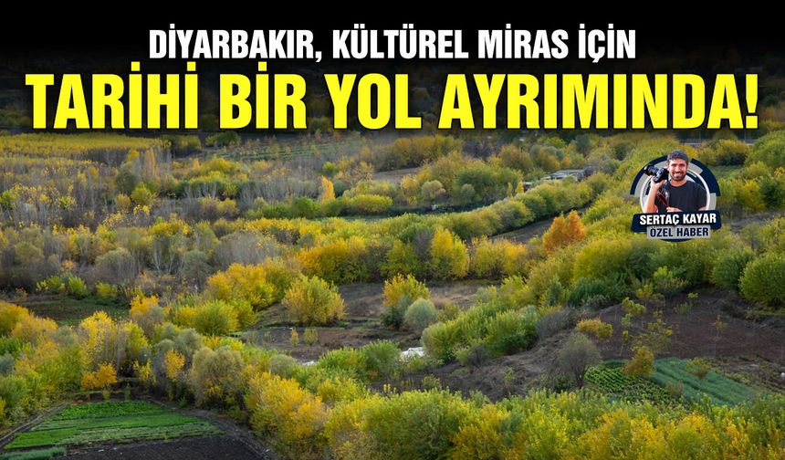 Diyarbakır, kültürel miras için tarihi bir yol ayrımında!