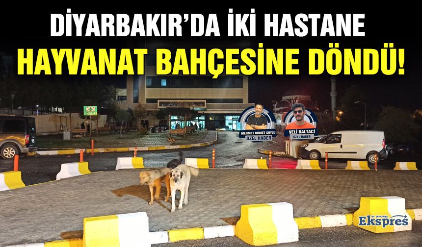 Diyarbakır’da iki hastane hayvanat bahçesine döndü!