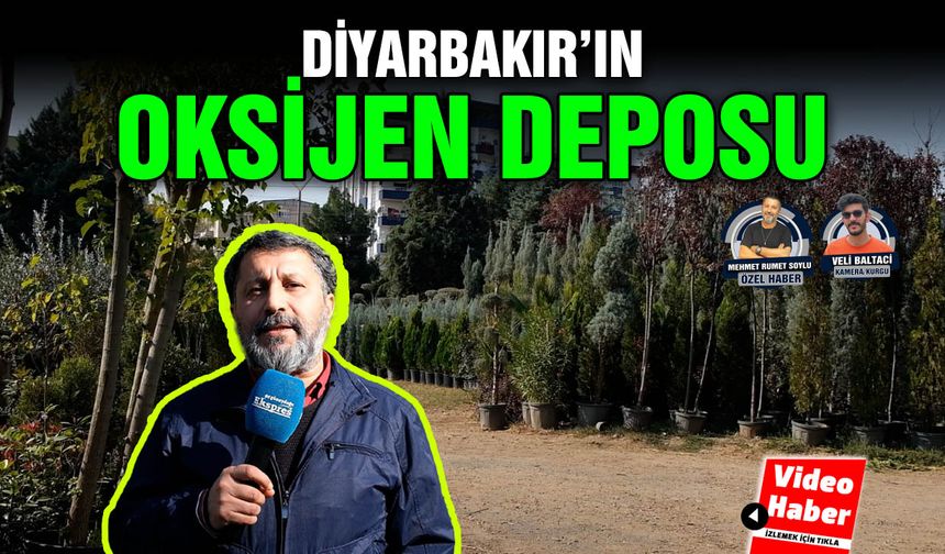 Diyarbakır’ın oksijen deposu