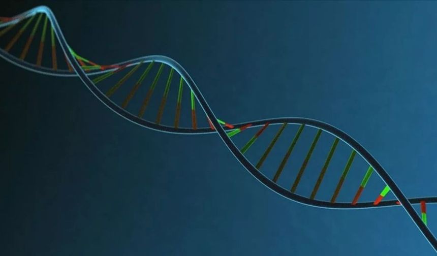 Bilim insanları Türklerin DNA'sının en çok benzediği milleti açıkladı