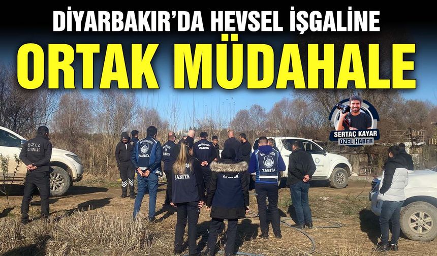 Diyarbakır’da Hevsel işgaline ortak müdahale