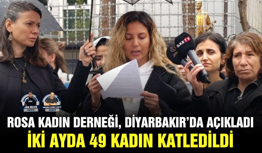 Rosa Kadın Derneği, Diyarbakır’da açıkladı: İki ayda 49 kadın katledildi