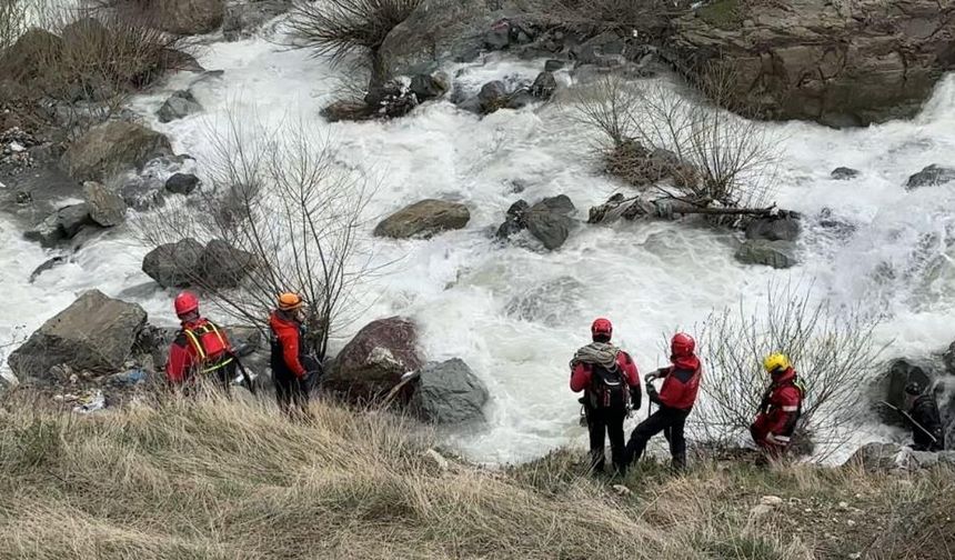 Hakkari, kayıp Feleknaz nine için seferber oldu