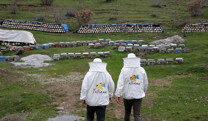 Fransa’dan Bitlis’e ödül geldi