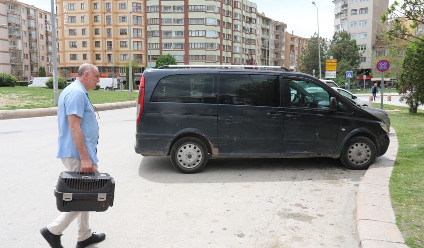 Kediyi veterinere yetiştirmek isterken ceza yedi
