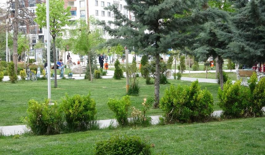 Kene için önemli uyarı!