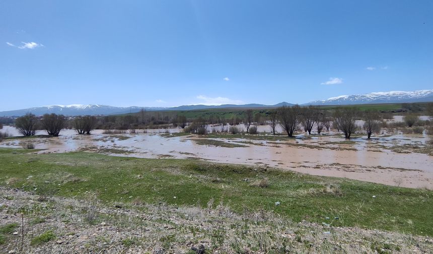 Ağrı'da yağmur felaketi; Murat Nehri taştı