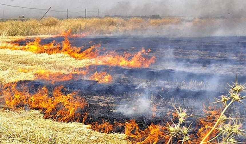 Diyarbakır Çınar'da tarla yandı