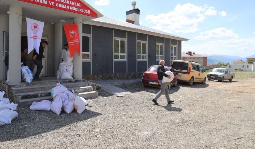 Bingöl’de yüzde 75 hibeli kuru fasulye tohumu dağıtılıyor