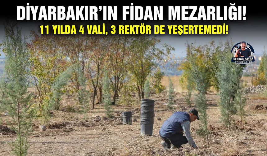 Diyarbakır’ın fidan mezarlığı!  11 yılda 4 vali, 3 rektör de yeşertemedi!