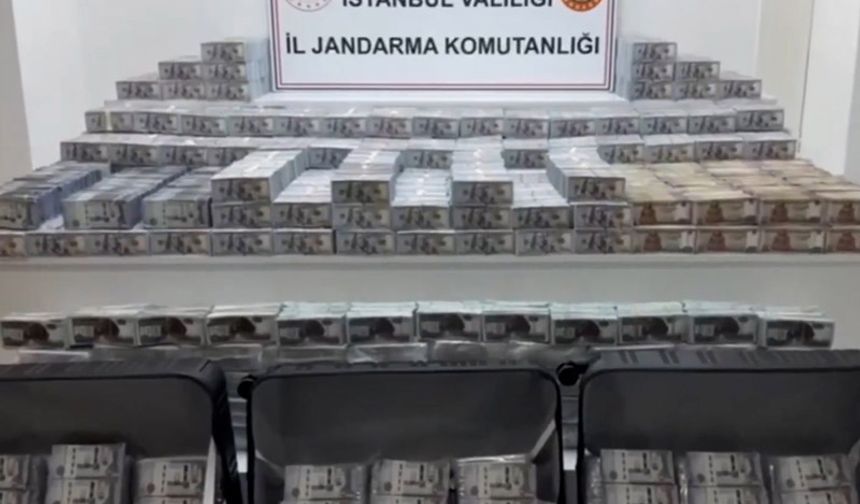 İstanbul'da döviz basan matbaaya baskın