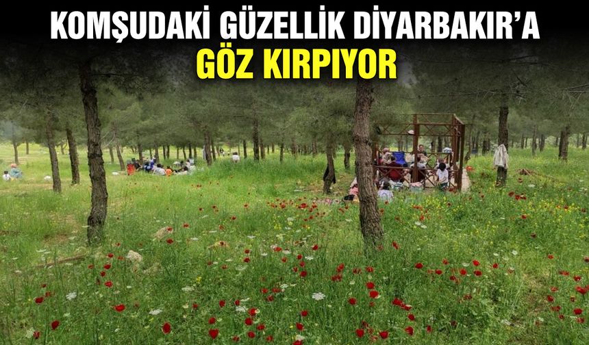 Komşudaki güzellik Diyarbakır’a göz kırpıyor