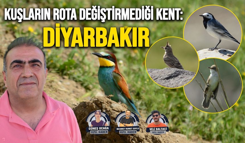 Kuşların rota değiştirmediği kent: DİYARBAKIR